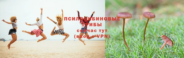 бошки Алексин