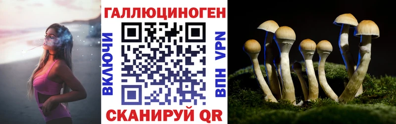 где купить наркоту Любим Галлюциногенные грибы мицелий